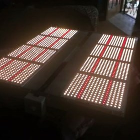 Online Grow Shop: Online Grow Shop